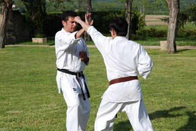 Karate club de Joinville