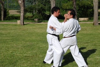 Karate club de Joinville