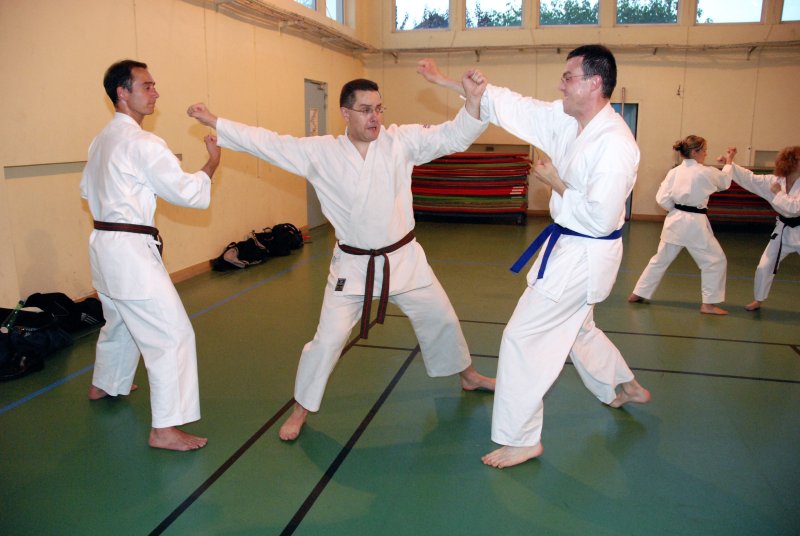 Karaté club de Joinville-Sébouille en action Karate club de Joinville-Sébouille